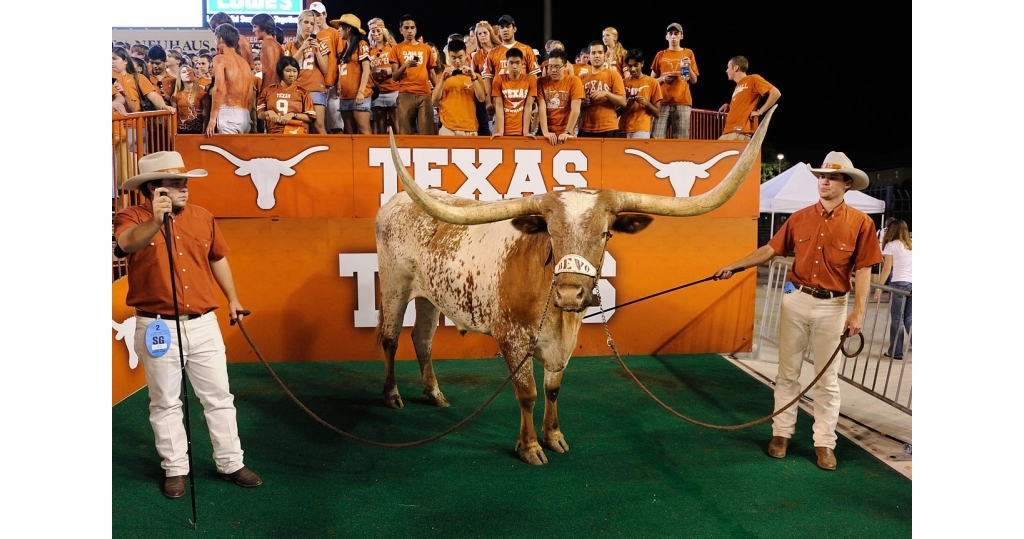 texas-longhorns-mascot-bevo-opm5-29034.jpg