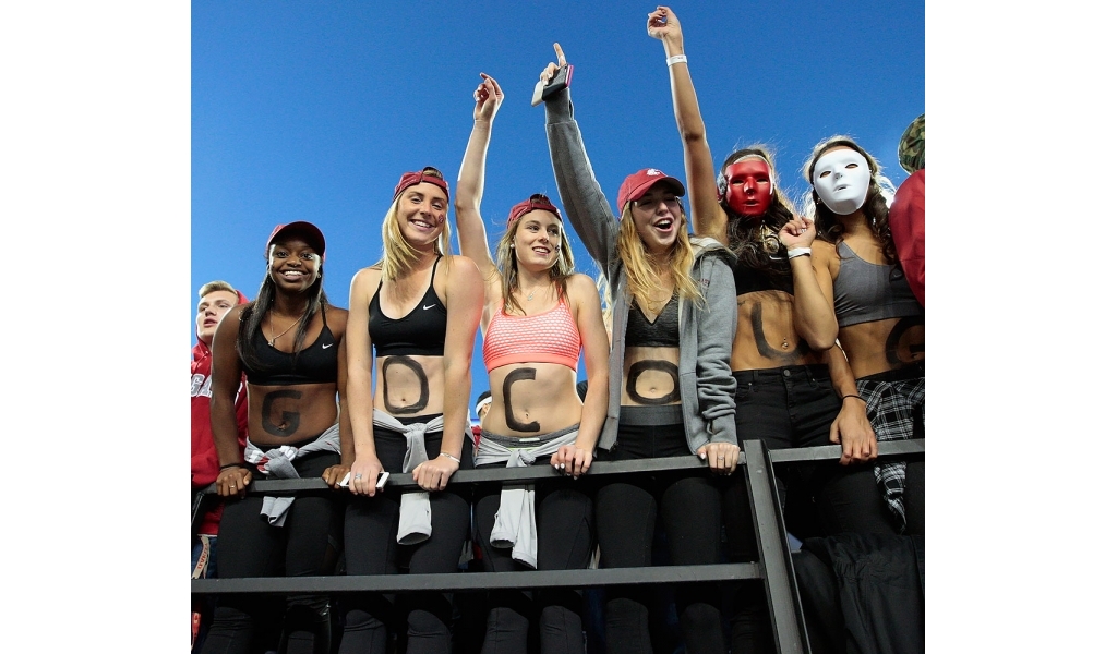 Washington-State-Cougars-fans-611929580.jpg