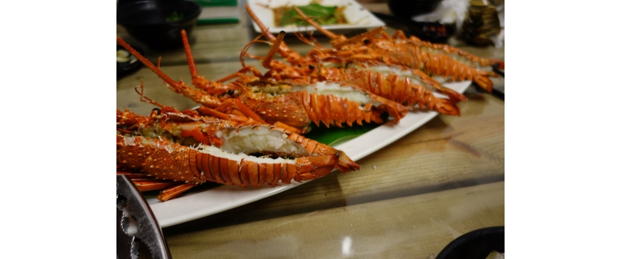 DSC03223.JPG
