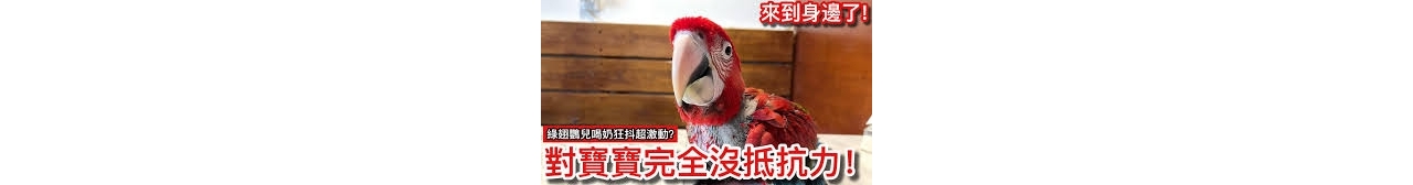 下載.jpg