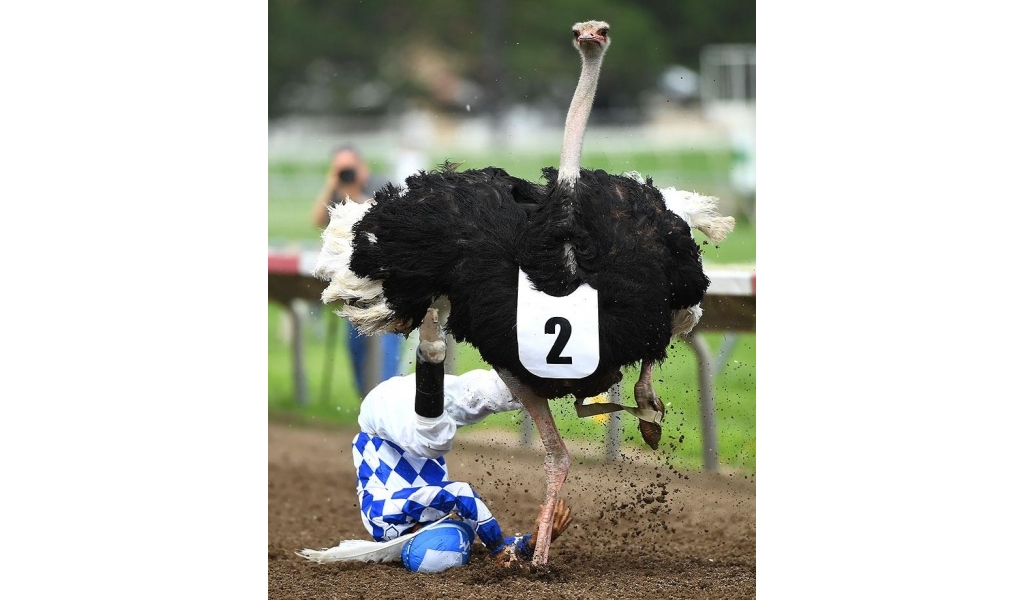 2016-0716-Jose-Montoya-ostrich-race.jpg