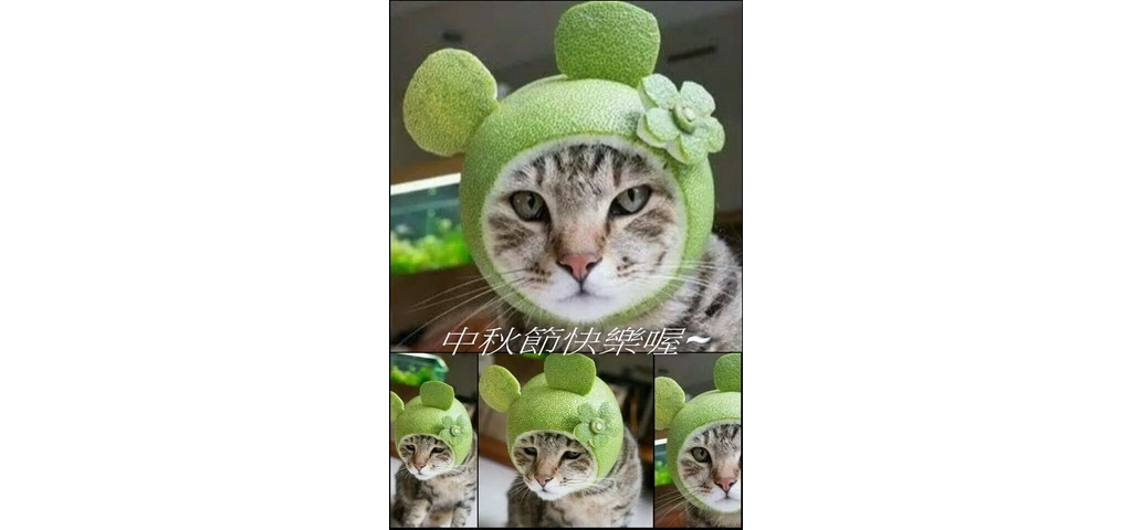 1473903179250.JPEG